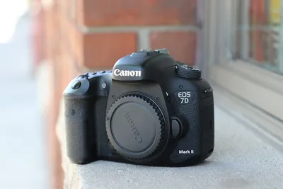 Canon 7D settings for bird photography
