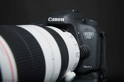Canon EOS 7D DSLR Camera (Body only) Price in India - Buy Canon EOS 7D DSLR  Camera (Body only) online at Flipkart.com