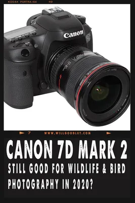 Canon EOS 7D: From Snapshots to Great Shots — Nicolesy