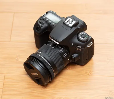 Canon EF 24-70mm f/4L IS USM: отзыв репортажника