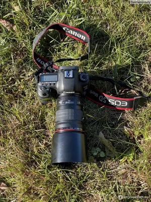 Canon 85mm f/1.8 USM - обзор с примерами фото | Иди, и снимай!