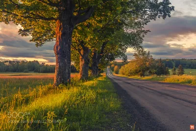 Canon EF-S 24 mm f/2.8 STM пример фотографии 227548455