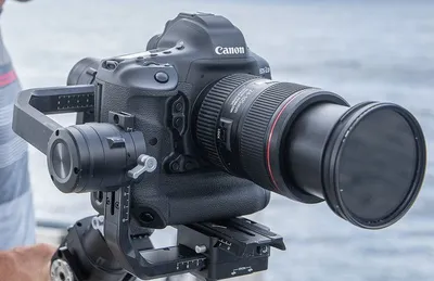 Canon EOS 1D-X — личный обзор — Catode.ru