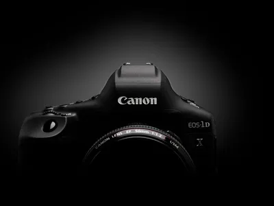 Canon EOS-1D X Mark II: отзыв фотографа-универсала