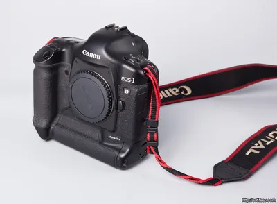 Камера Canon 1DX. Обзор Canon EOS-1D X » PhotoCasa - Фотокаталог России.  Журнал о фотографии PhotoCASA. Официальный сайт.