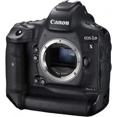 Canon EOS-1D X Mark II пример фотографии 224148987