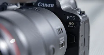 Надежная автофокусировка с Canon EOS-1D X Mark III - Canon Kazakhstan