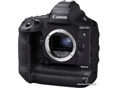 Canon EOS 1D-X — личный обзор — Catode.ru