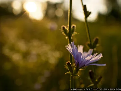 Объектив Canon EF-M 18-150mm f/3.5-6.3 IS STM - Canon Uzbekistan