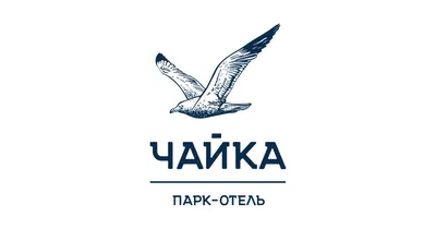чайка - Wiktionary, the free dictionary
