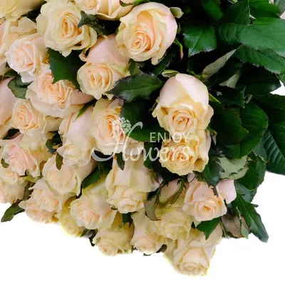 Фотообои Чайная роза на заказ любой размер, код:10251 | ЭкоПринт