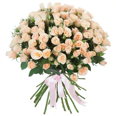 Букет из 51 розы \"Чайные розы\", артикул: 200522 в интернет магазине  EnjoyFlowers.ru ❀ с доставкой по Москве