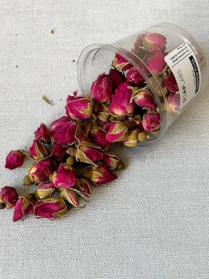 Роза чайная, садовая | Flowers, Rose, Plants
