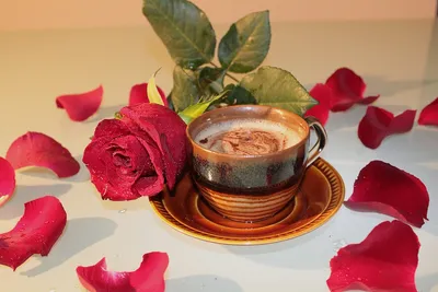 Чашка кофе и роза фото фотографии
