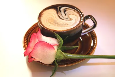 цветок роза розовая чашка кружка капучино HD обои для ноутбука | Good  morning handsome, Romantic good morning quotes, Good morning images