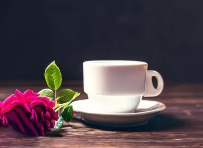 Трафарет пластик \"Чашка кофе и роза\" 13х14 см - купить с доставкой по  выгодным ценам в интернет-магазине OZON (605209902)