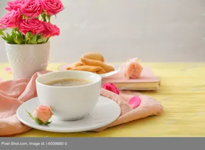 Чашка для кофе 0,24 л Rose Quartz Junto Rosenthal (21540-405254-64742) |  Kitchen-Profi Россия