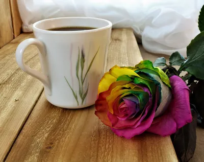 Чашка кофе и красная роза стоковое фото. изображение насчитывающей  классицистическо - 128977258