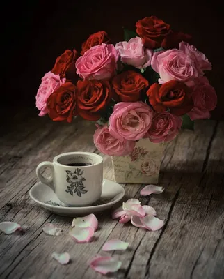 Кофе и Григ / чашка кофе, платок, роза, ветка