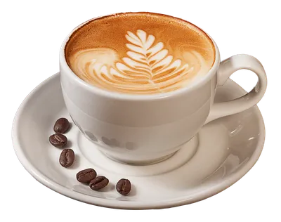 Семь причин начать день с чашки кофе – CoffeeBox