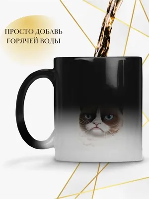 https://bon.ua/ru/obyavlenie/kruzhka-chashka-hameleon-batareika-chernaya-19ffcf