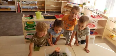 Little Stars Club\". Частный детский сад. - цена и описание услуги, заказать  в Ташкенте, (Арт. ser-116K) - Tovar.uz