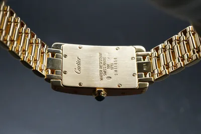 Мужские часы Cartier Santos de Cartier Santos-Dumont XL Hand-Wind WSSA0032  обзор, отзывы, описание, продажа на Luxwatch.ua
