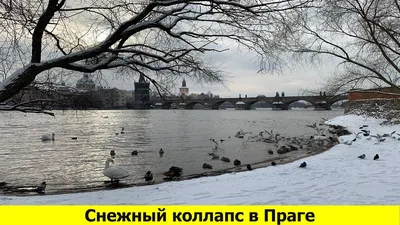 картинки : море, зима, док, архитектура, линия горизонта, Посмотреть,  памятник, городской пейзаж, панорама, средство передвижения, Пристань,  Марина, Порт, Туризм, Здания, Старый город, Человеческое поселение, Прага,  Чехия 2953x1969 - - 793591 ...