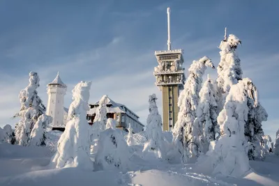 Чехия зимой — время для осмотра достопримечательностей | Lifeintravel | Дзен