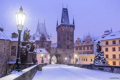 Фотография Чехия Brno зимние Природа парк снега Вечер Скамейка