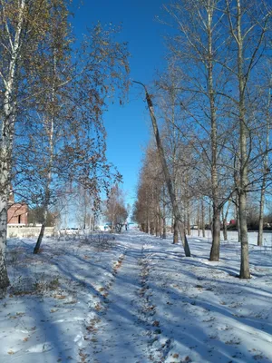 Зимний Челябинск | Пикабу