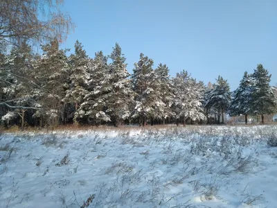 Сегодня в Челябинск возвращается зима. Вечерний Челябинск.