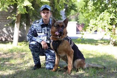 Майор Наталья Симонова и собака Гор из Челябинска стали победителями  всероссийского чемпионата (ФОТО) | Свежие новости Челябинска и области