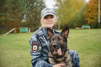 Международный конкурс рисунков «Портрет фронтовой собаки»