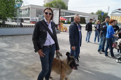 Нижегородка заперла собаку на две недели в машине | 18.08.2023 | Нижний  Новгород - БезФормата