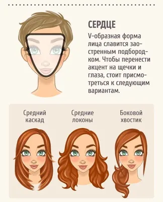 Корейский Бархатный зажим для волос с бантом, челка для лба, заколка для  волос, плюшевые высокие заколки для волос, велюровые маленькие боковые  зажимы | AliExpress