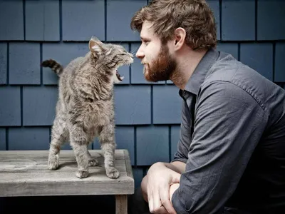 Фото человека и его игривой кошки: забавные истории в картинках