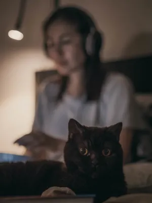 Кошачья красота: фото с человеком и его великолепной кошки