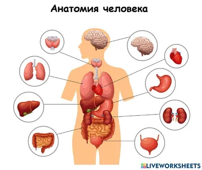 Костюм Железного Человека для комик-конов и посещения детей в больницах,  распечатанный на 3D-принтере | Пикабу