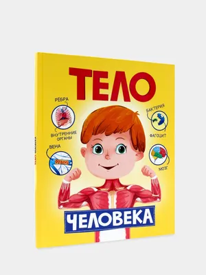 Тело человека\": игра развивающая для детей старше 3-х лет из фетра (игровое  поле, фигурки) – купить по цене: 575,70 руб. в интернет-магазине УчМаг