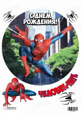 Картинка для торта \"Человек-паук (Spider-Men)\" - PT101643 печать на  сахарной пищевой бумаге