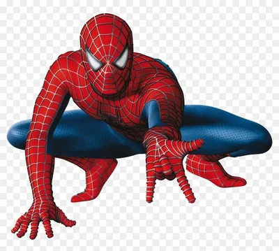 Фигурка Marvel Человек паук в ассортименте купить по цене 1999 ₽ в  интернет-магазине Детский мир