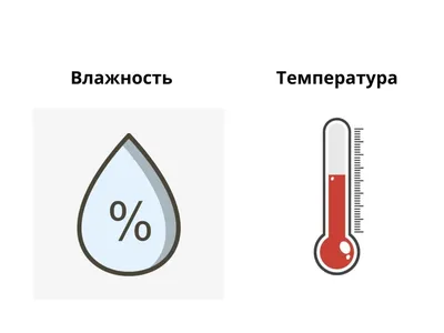 Чем отличается русская баня от сауны?