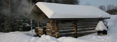 Чем отличается русская баня от сауны?