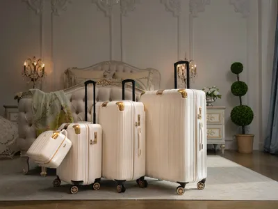 Какой чемодан на колёсах выбрать для самолёта: лучшие чемоданы для  авиаперелётов — Яндекс Путешествия