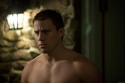 Обои Кино Фильмы Foxcatcher, обои для рабочего стола, фотографии мужчины,  channing taturn, Ченнинг, татум, channing, tatum, foxcatcher, шатен, парень  Обои для рабочего стола, скачать обои картинки заставки на рабочий стол.