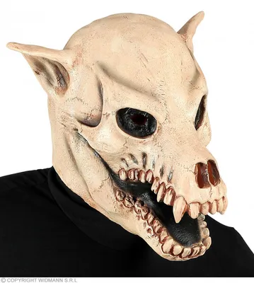Текстурированный череп собаки 3D Модель $39 - .ztl - Free3D