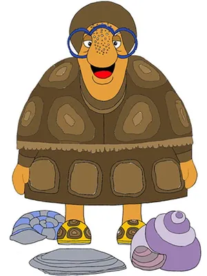Черепаха Тортила фото на - 24СМИ