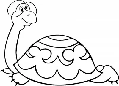 Раскраски для детей и взрослых хорошего качестваРаскраска черепаха Тортилла  - Раскраски для детей и взрослых хорошего качества