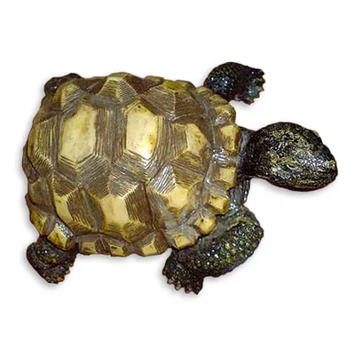 Статуэтка черепаха Тортилла купить в интернет-магазине Darunok